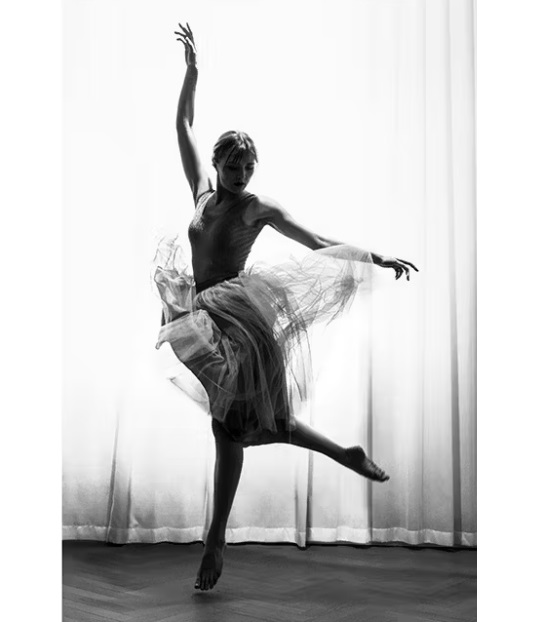 Framed Artwork - Lady