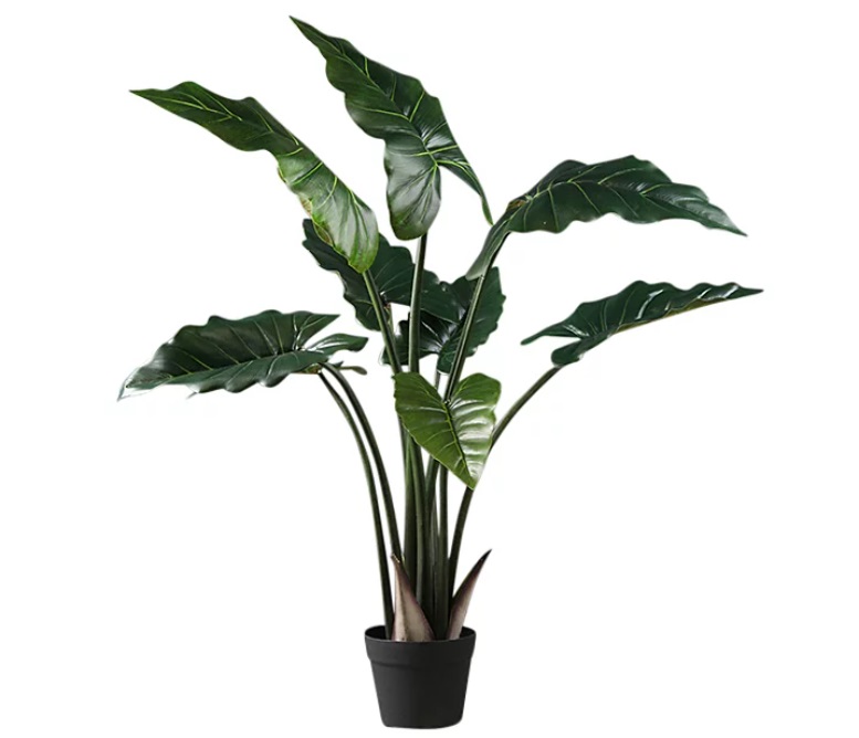 Artificial Plants
