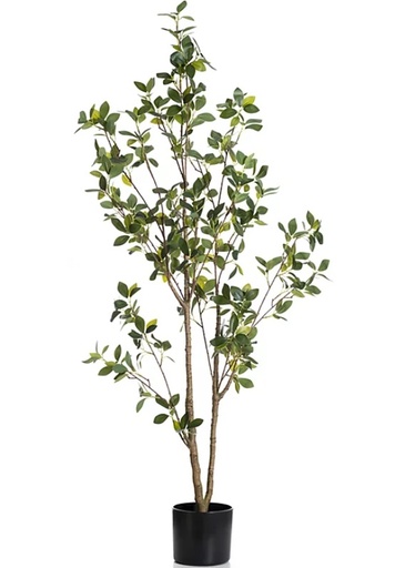 Artificial Plants (FP2)