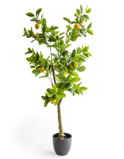 Artificial Plants (Standard, AF123 - Large Ornamental Potted Lemon Tree)