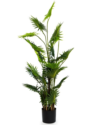 Artificial Plants (Standard, AF40 - Ornamental Fan Palm Tree in Black Pot)
