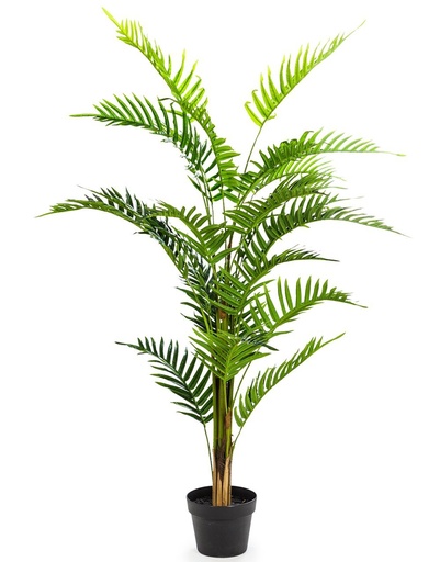 Artificial Plants (Standard, AF41 - Ornamental Fern Tree In Black Pot)