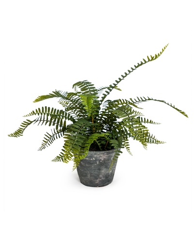 Artificial Plants (Standard, AF81 - Ornamental Potted Fern Plant In Concrete Pot)