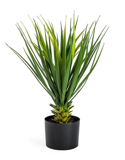 Artificial Plants (Standard, AF70 - Ornamental Potted Yucca Plant)